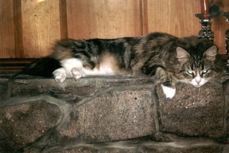 Prissy